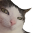 BatTenshi