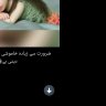 Malik112