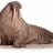 spynx011878