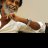 venkat R