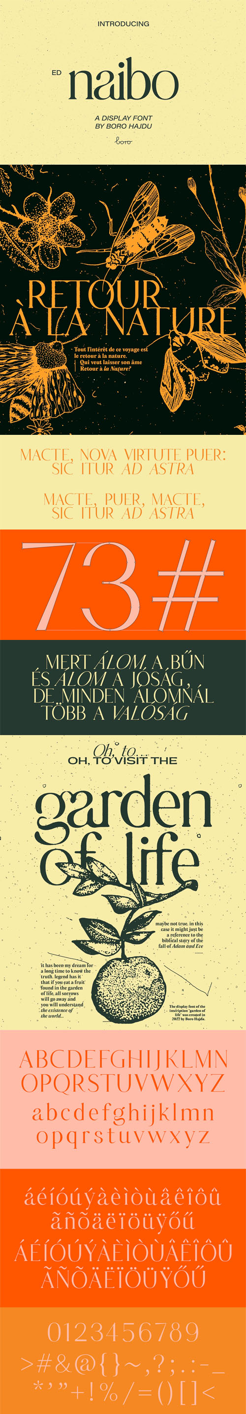 Naibo - Unique Display Serif Font