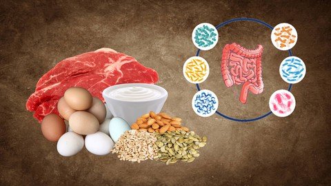 Step 4 - Perfecting Protein And Digestion