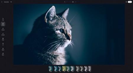 d67478317d250afb8065a9c25ba2cb10.jpeg