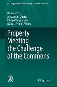 Property Meeting the Challenge of the Commons